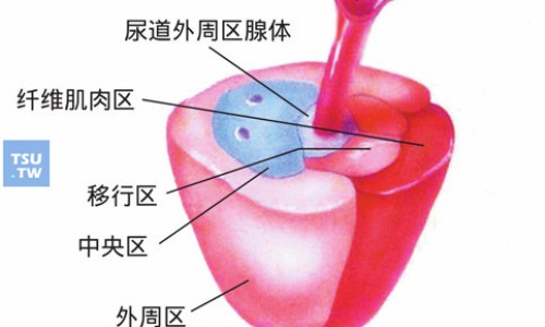身上总爱起疙瘩怎么回事啊网 | 夜晚最严重,身上总是痒是怎么回事